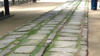 森の中にいるみたい！