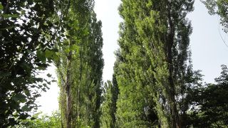 見たかった景色