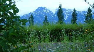 高速のパーキングエリアと行き来できます