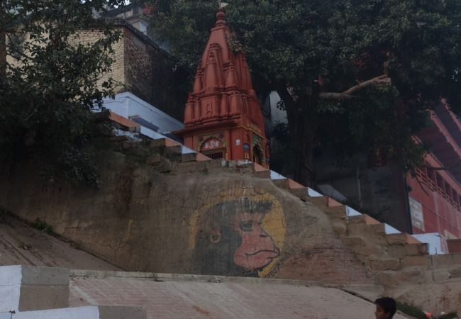 ココも絵になるガート