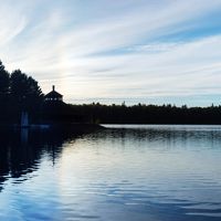 Alowhon Pine が夕闇にシルエットで浮かびます。