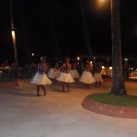 ダンスディナーショー