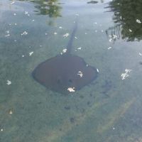 中庭の池は海水なんです。