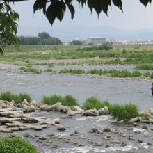 鮎を釣る人たち。