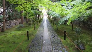梅雨の晴れ間。