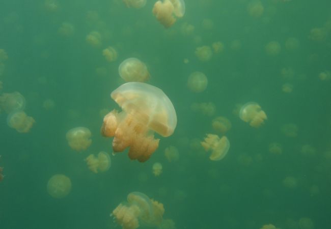 神秘的な湖でした。