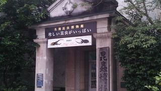 テラスに猫がお出迎え