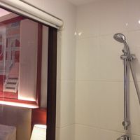 シャワー室側から。ガラスになってますが防水のロールカーテンが