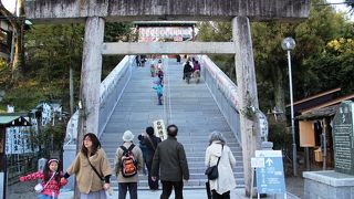 犬山城の守護神、犬山城の南登城入り口近くにある。また犬山祭は、針綱神社の祭礼である。