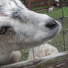 顔飛び出てます！