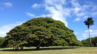 世界で一番贅沢な場所！