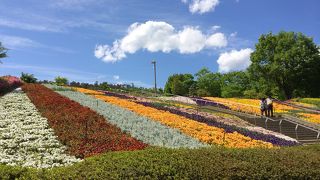 夜景もきれいらしい