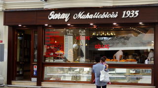 サライ ムハッレビジシ