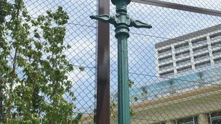 外人居留地の風物詩だったようです。