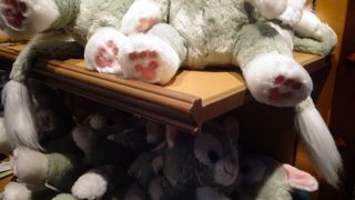 シー内最大のショッピング施設