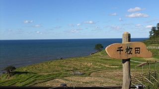 能登半島の千枚田