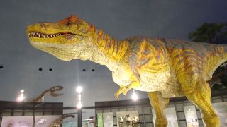 迫力満点の博物館です。