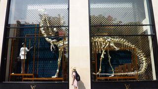 外からだけでも見ておく価値はあるかも。