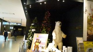 かわいい動物がいっぱい！