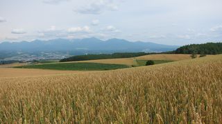坂の下りが最高～♪（自転車）