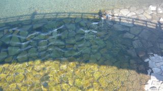 錦川あっての錦帯橋