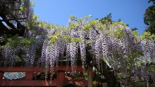 奈良といえば春日大社