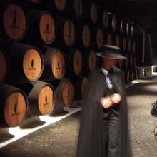 案内人の「ドン」です。