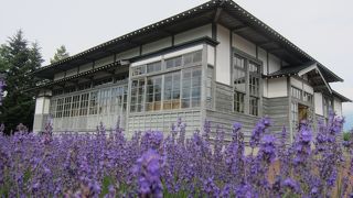 上富良野一帯の惨状が分かります