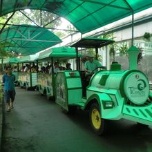 園内を走る電車