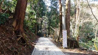 地図、懐中電灯は必携の高尾山ハイキングコース