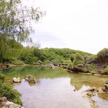 奥にも続いています。緑に囲まれている感じ。