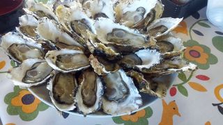 生牡蠣が100円で食べられます