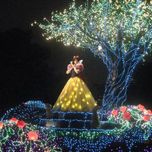 夜のパレードも最高☆