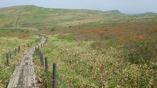 手軽に行ける高原