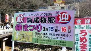 約10,000本の紅白の梅が咲く高尾梅まつり