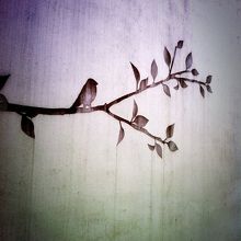 入口の壁がおしゃれ！