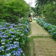 ハイキングでもケーブルでも