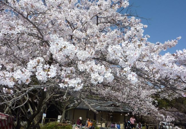 田代公園・佐賀県鳥栖