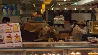 東京えんとつで知られているシフォン・カップケーキのお店