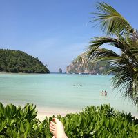 プールサイドのデッキチェアからの眺め