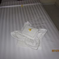 毎日ベッドにはタオルパフォーマンスが(笑)