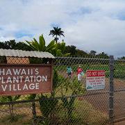 ハワイの移民の歴史を体感できる場所。