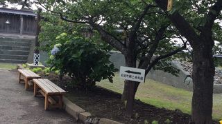 今年は12／10まで