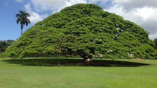 ショップが併設されてました！