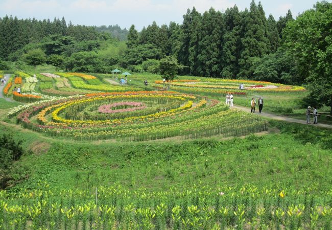 ムフフ・・・ここは匂立つ乙女の花園か！