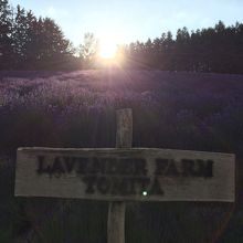 夕暮れのファーム富田