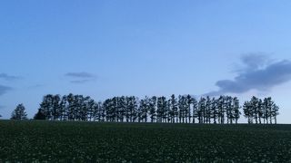 近くより遠くからの眺めを楽しむ丘