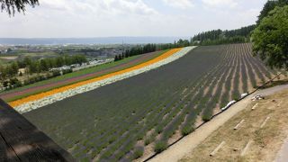 すごいにぎわい