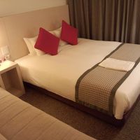 ダブルのシングルユースでした