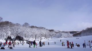 ビギナー、ファミリーに打ってつけ